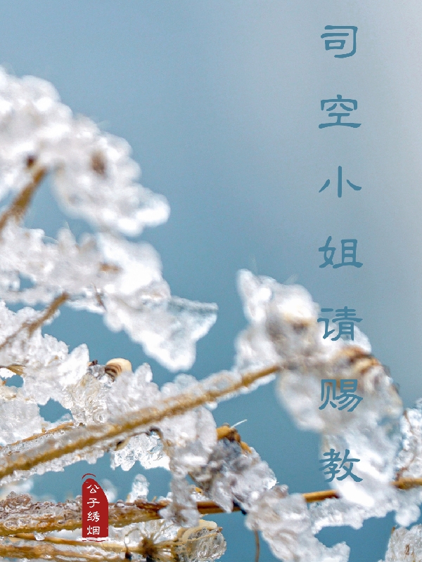 司空小姐请赐教最新章节，司空小姐请赐教免费阅读