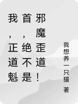 我，正道魁首，绝不是邪魔歪道！梦玖小说在线章节目录阅读最新章节