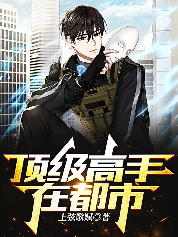 求顶级高手在都市小说免费资源