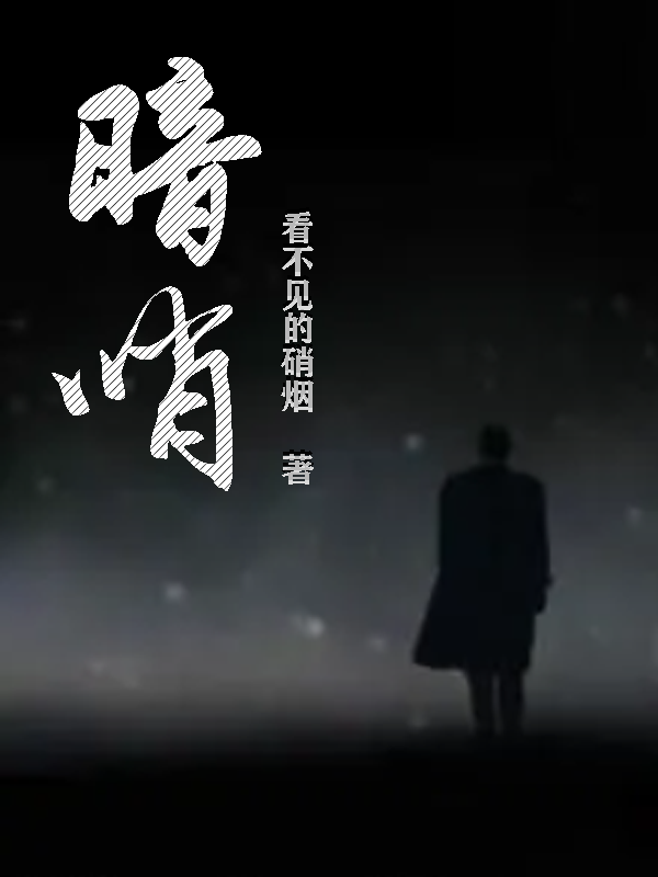 暗哨吴底沈雪卿，暗哨小说免费阅读