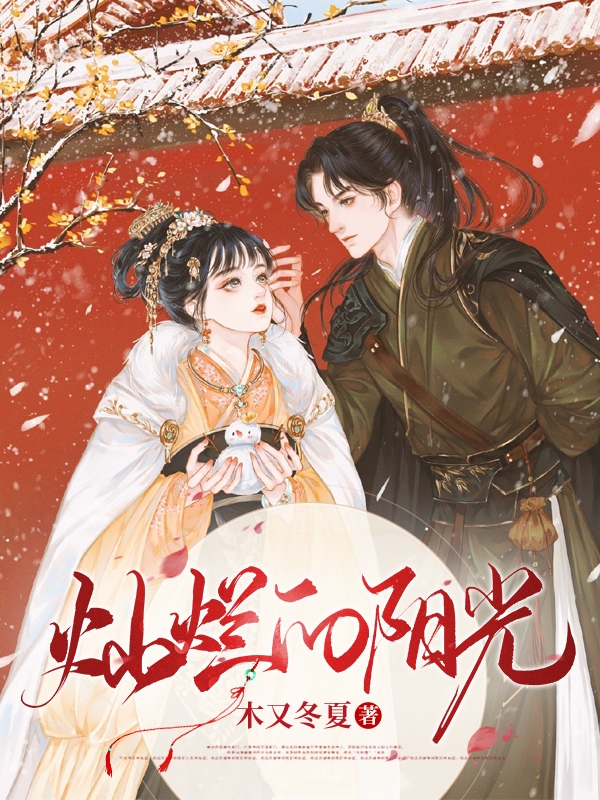 小说灿灿呼延扶光灿烂的阳光在线免费阅读-书评酱