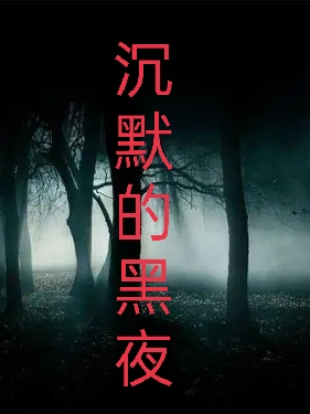 沉默的黑夜