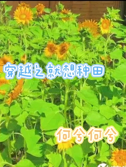 穿越之就想種田