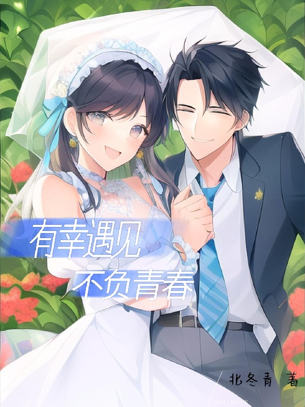 小说有幸遇见，不负青春在线全文阅读