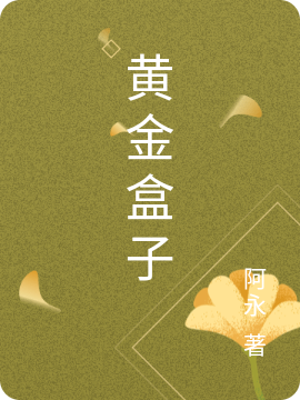 黄金盒子小说，黄金盒子免费阅读