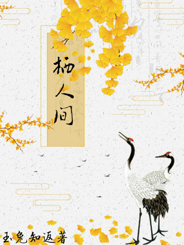 主人公陈愿霍旻枫小说栖人间在线全文阅读