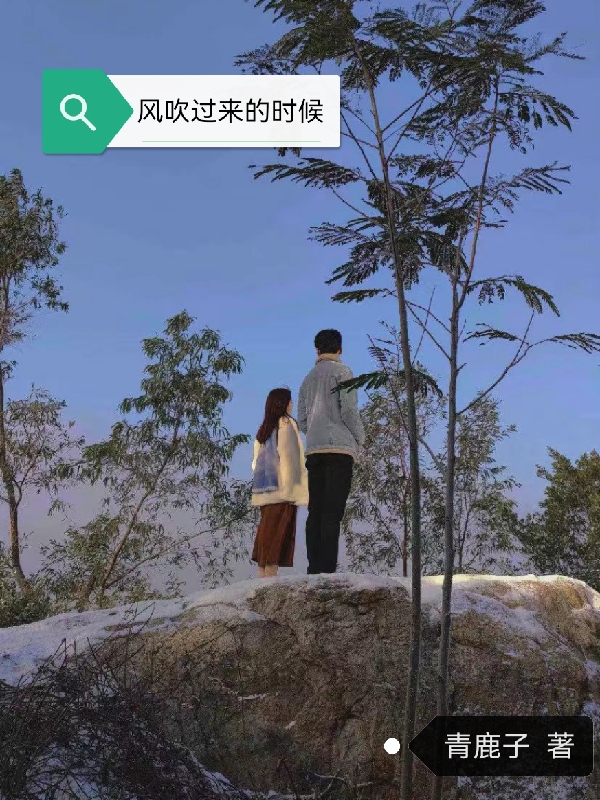 主角叫明枳许墨的小说最新章节阅读，风吹过来的时候全文免费阅读