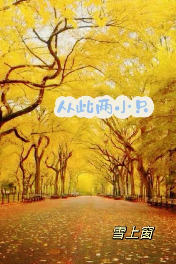已完结小说《从此两小只》全文免费阅读-够力荐小说推荐网