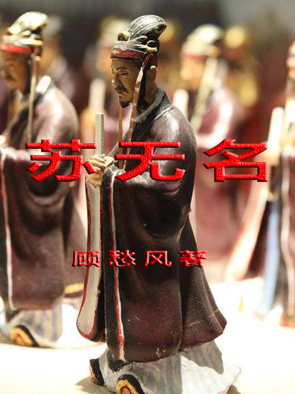 苏无名小说叫什么，苏无名免费阅读