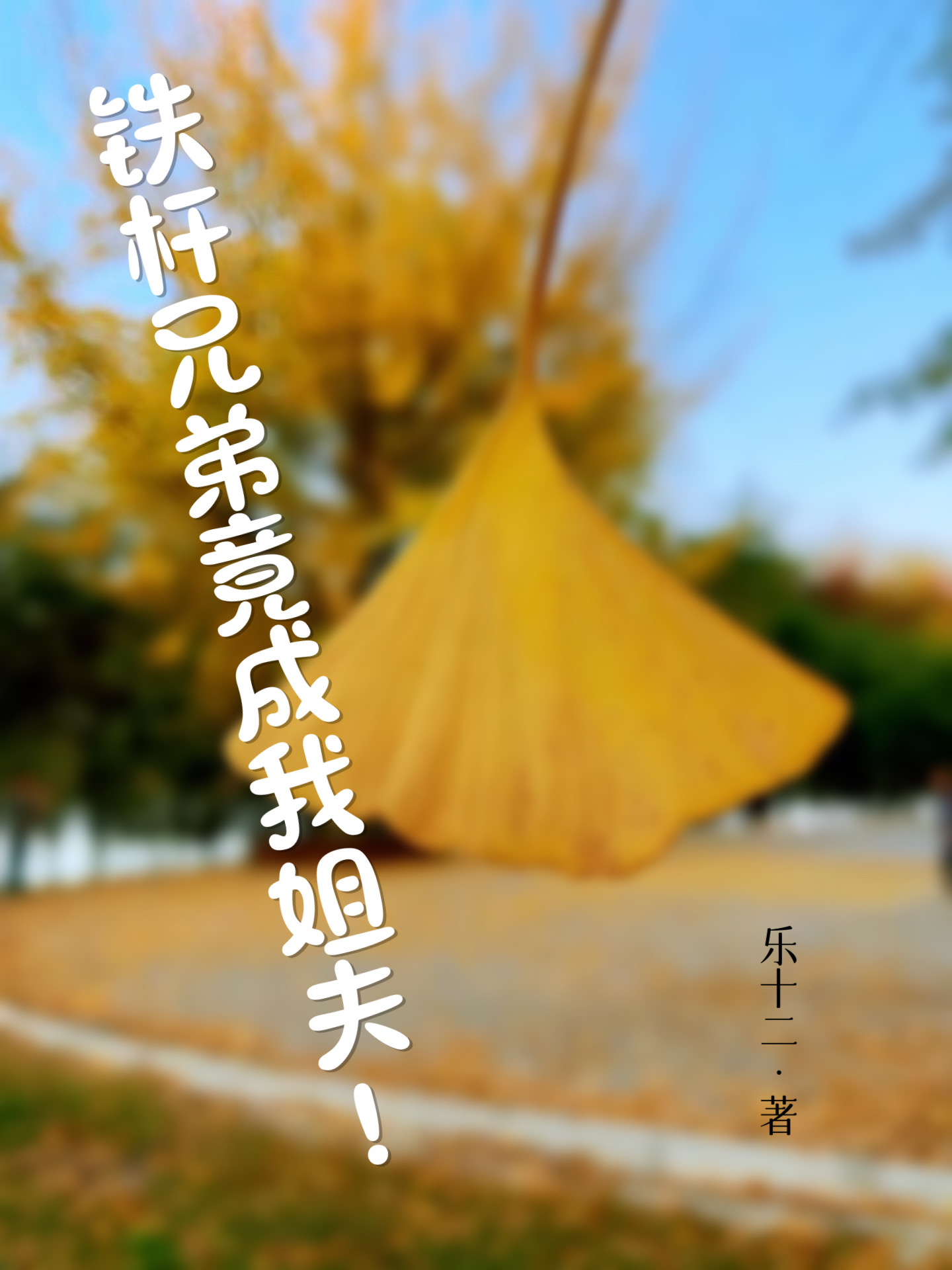 小说《铁杆兄弟竟成我姐夫！》全文阅读
