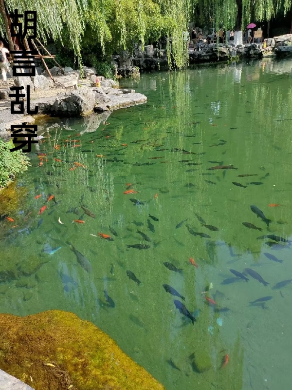 已完结小说《乱穿胡言》全文免费阅读-够力荐小说推荐网