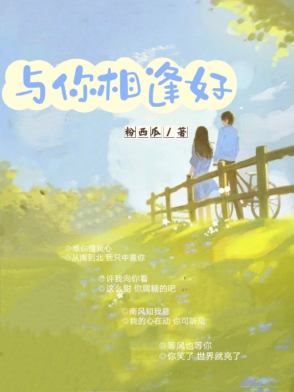 顾若风苏格小说在线全文免费阅读（与你相逢好无弹窗无删减）