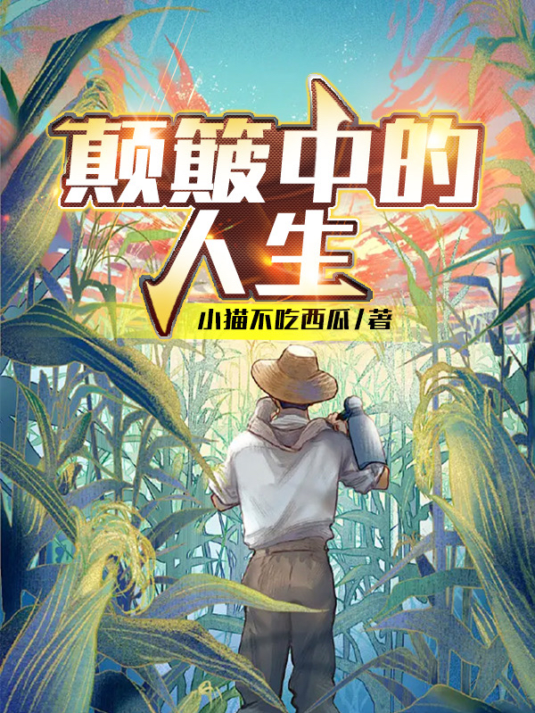 颠簸中的人生小说，颠簸中的人生最新章节-美文小说