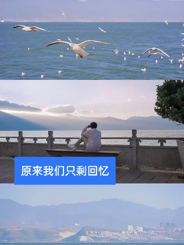原来我们只剩回忆小说林慕瑶时倾全文免费阅读