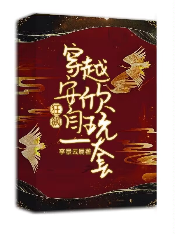 安欣高启兰小说《狂飙：穿越安欣，自玩一套》在线阅读
