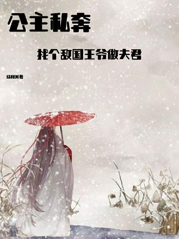 小说公主私奔：找个敌国王爷做夫君在线全文阅读