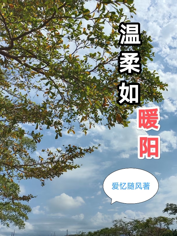 溫柔如暖陽