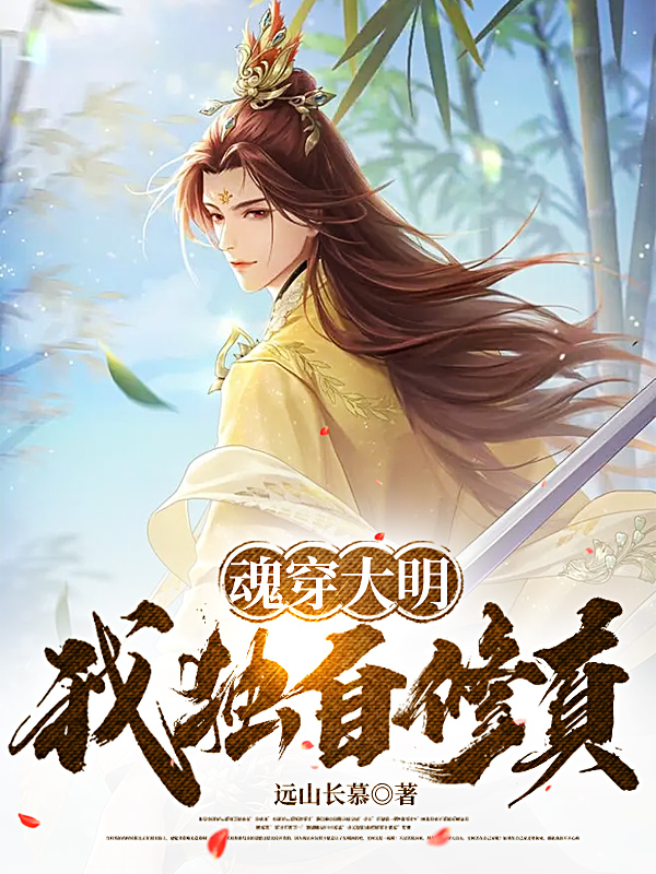 魂穿大明，我独自修真小说，魂穿大明，我独自修真元辰