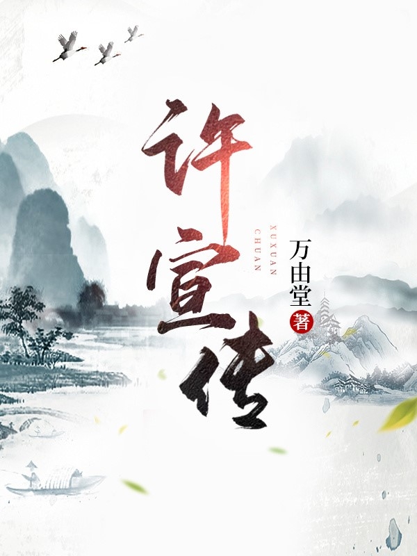 许宣传小说，许宣传免费阅读