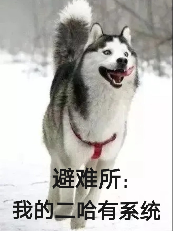 避难所：我的二哈有系统小说免费资源，避难所：我的二哈有系统在线阅读