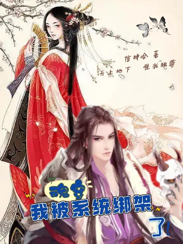 主角泠鸢蓝寒渊小说完整版在线阅读，魂穿：我被系统绑架了！免费看
