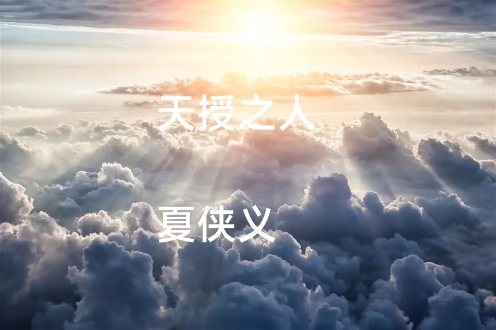 夏驰小说在哪里可以看-瑞奇文学