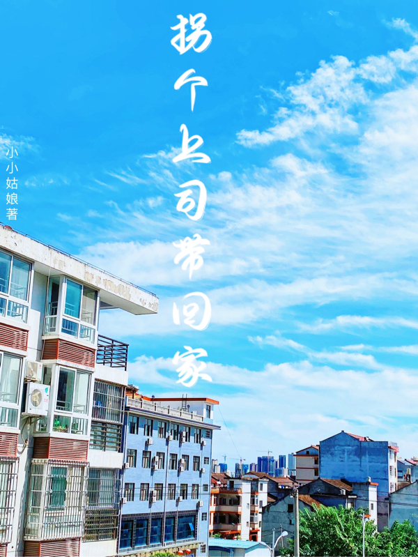 拐个上司带回家主角周绍宸温暖小说完整版全文在线阅读