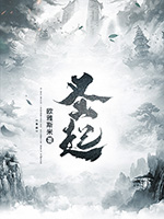 圣起小说，圣起洛夕尘
