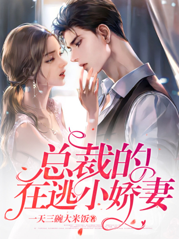 小说《总裁的在逃小娇妻》全文免费阅读
