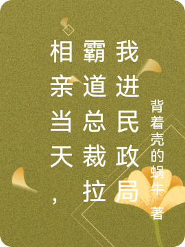 清荷凌北宸小说叫什么，相亲当天，霸道总裁拉我进民政局免费阅读