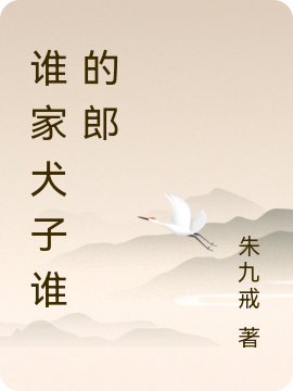 何梦梅丁雪梅小说在哪里可以看