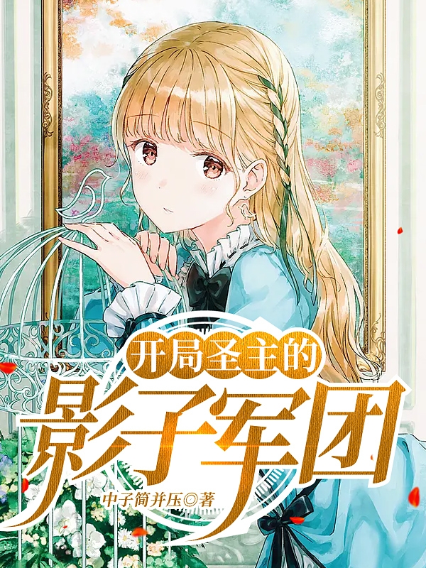 宁辰小说叫什么（开局圣主的影子军团免费阅读）-美文小说