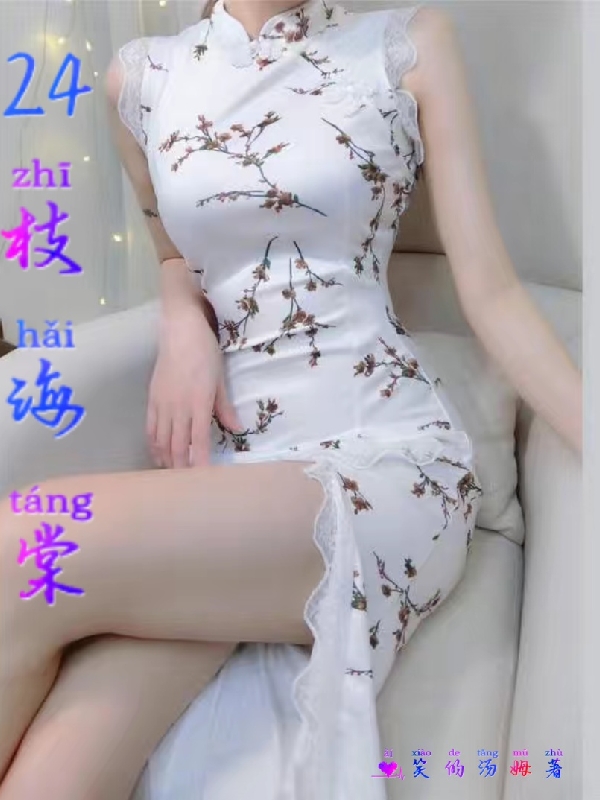 24枝海棠小说，24枝海棠毅王萍