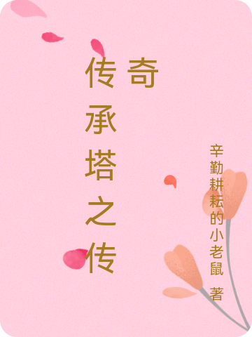 主角沈淑小说完整版在线阅读，传承塔之传奇免费看