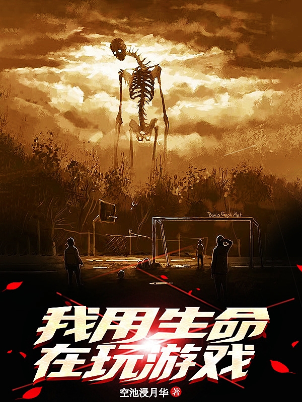 我用生命在玩遊戲