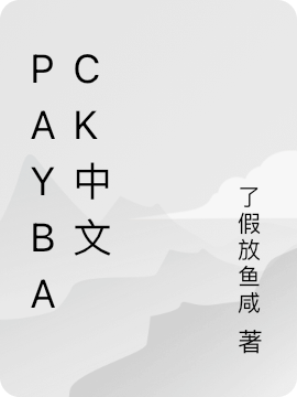 PAYBACK中文