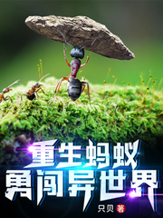 完整版重生蚂蚁勇闯异世界全章节阅读