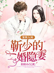 宠你入局:靳少的二婚隐妻