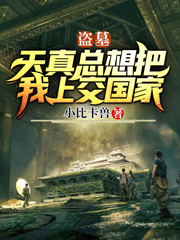 小说《盗墓：天真总想把我上交国家》全文阅读