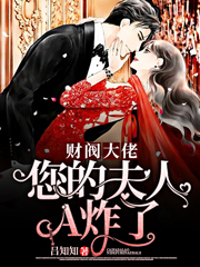 财阀大佬，您的夫人A炸了主角阮玉糖墨夜柏墨夜橙小说完整版全文在线阅读