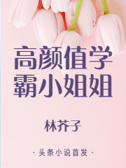 高颜值学霸小姐姐免费阅读