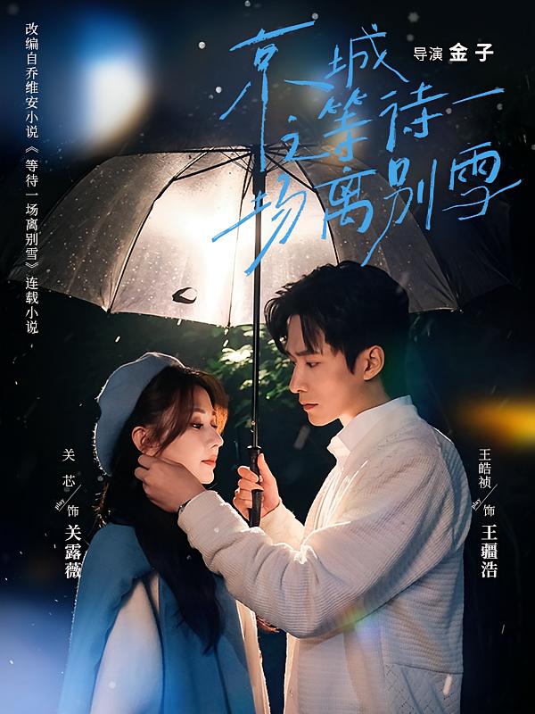 京城之等待一场离别雪 都市情感·都市·全42集 王皓祯&罗景森&卢丽娜