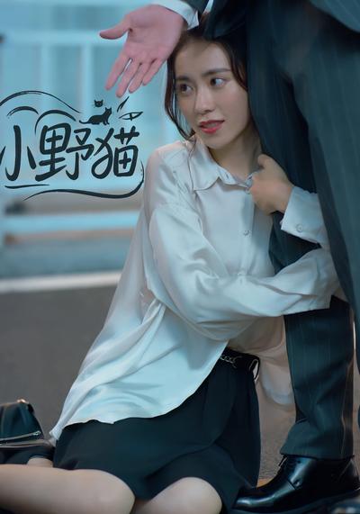 小野猫封面图