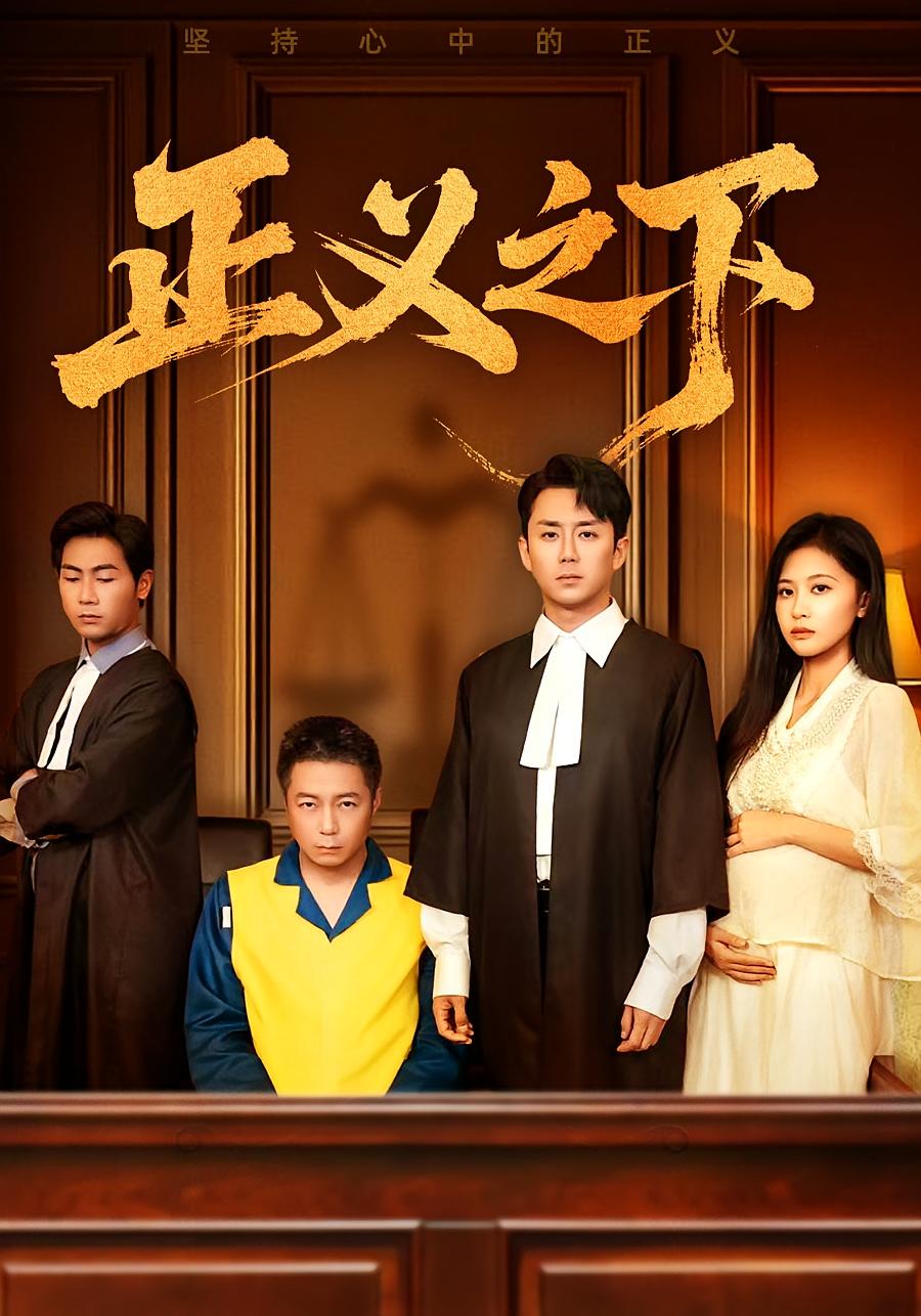 正义之下 法律正义·都市·全61集 黄健&阎纪圻&刘烨琪