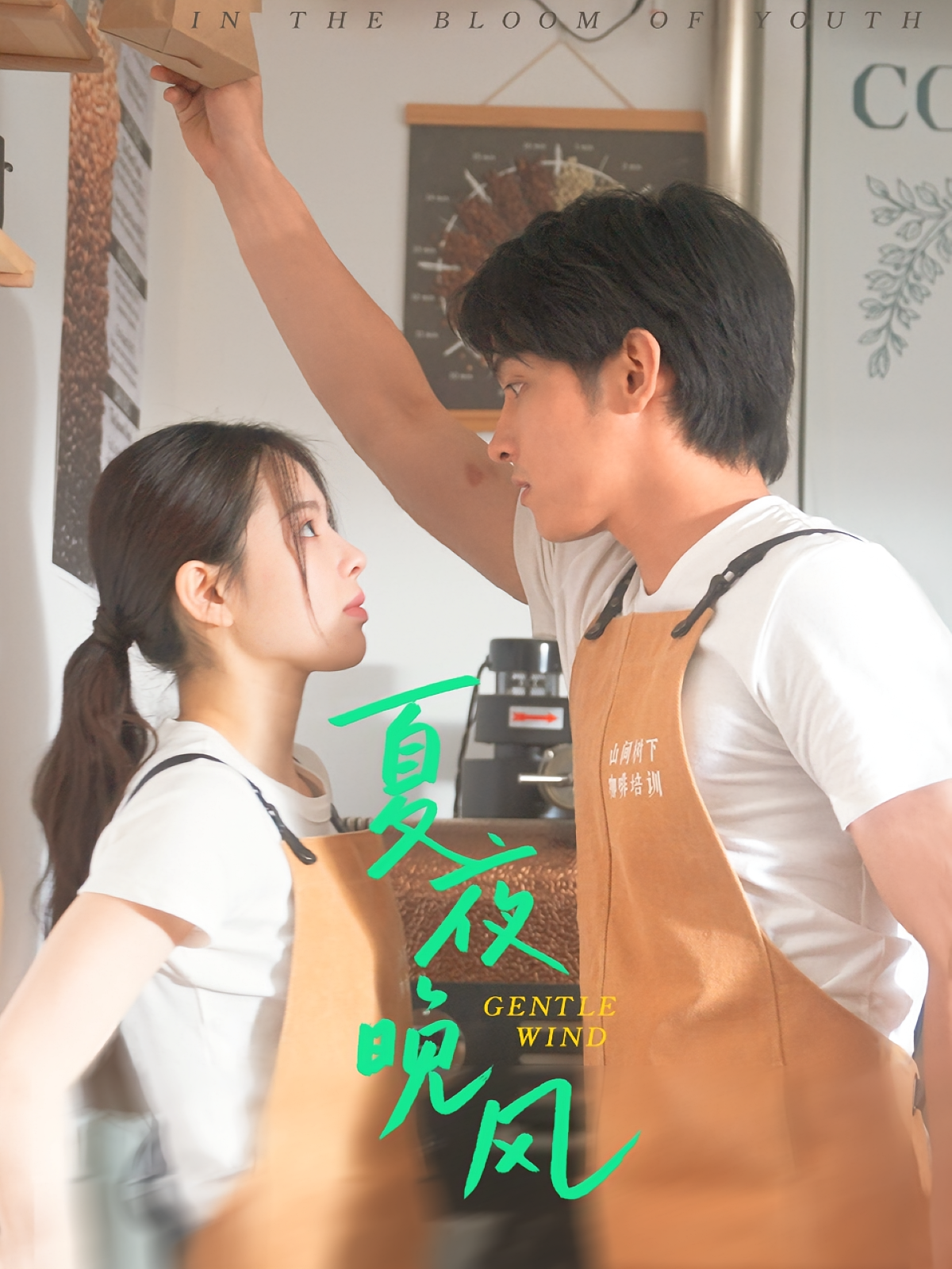 夏夜晚风 日久生情·青春·全12集 蔡子伊&何衍朝&赵佳仪