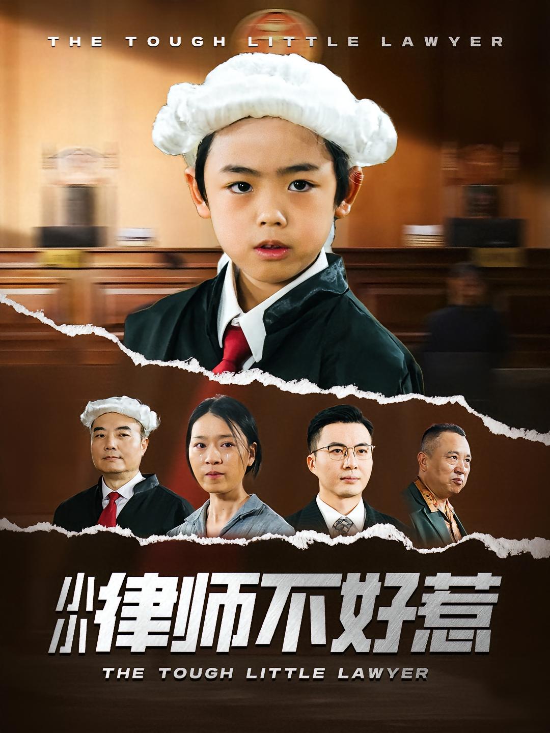 小小律师不好惹 法律正义·都市·全82集 凤子豪&杨镇海&韩铭哲