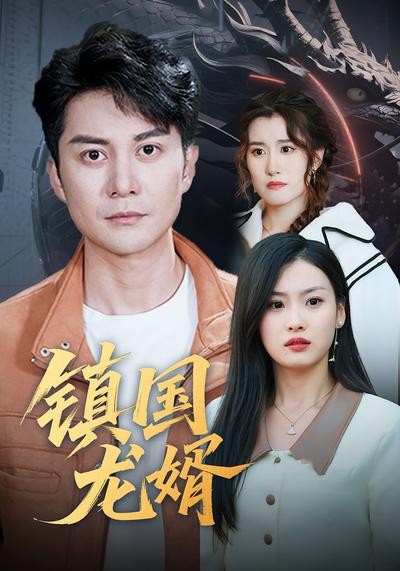 镇国龙婿封面图