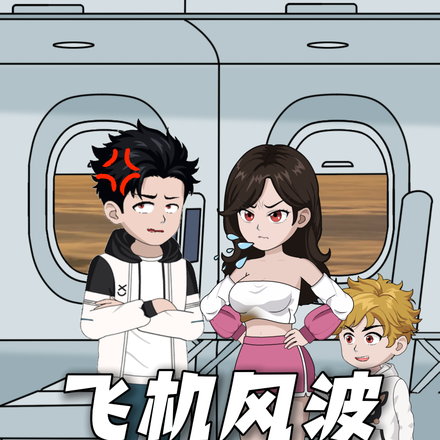 飞机风波