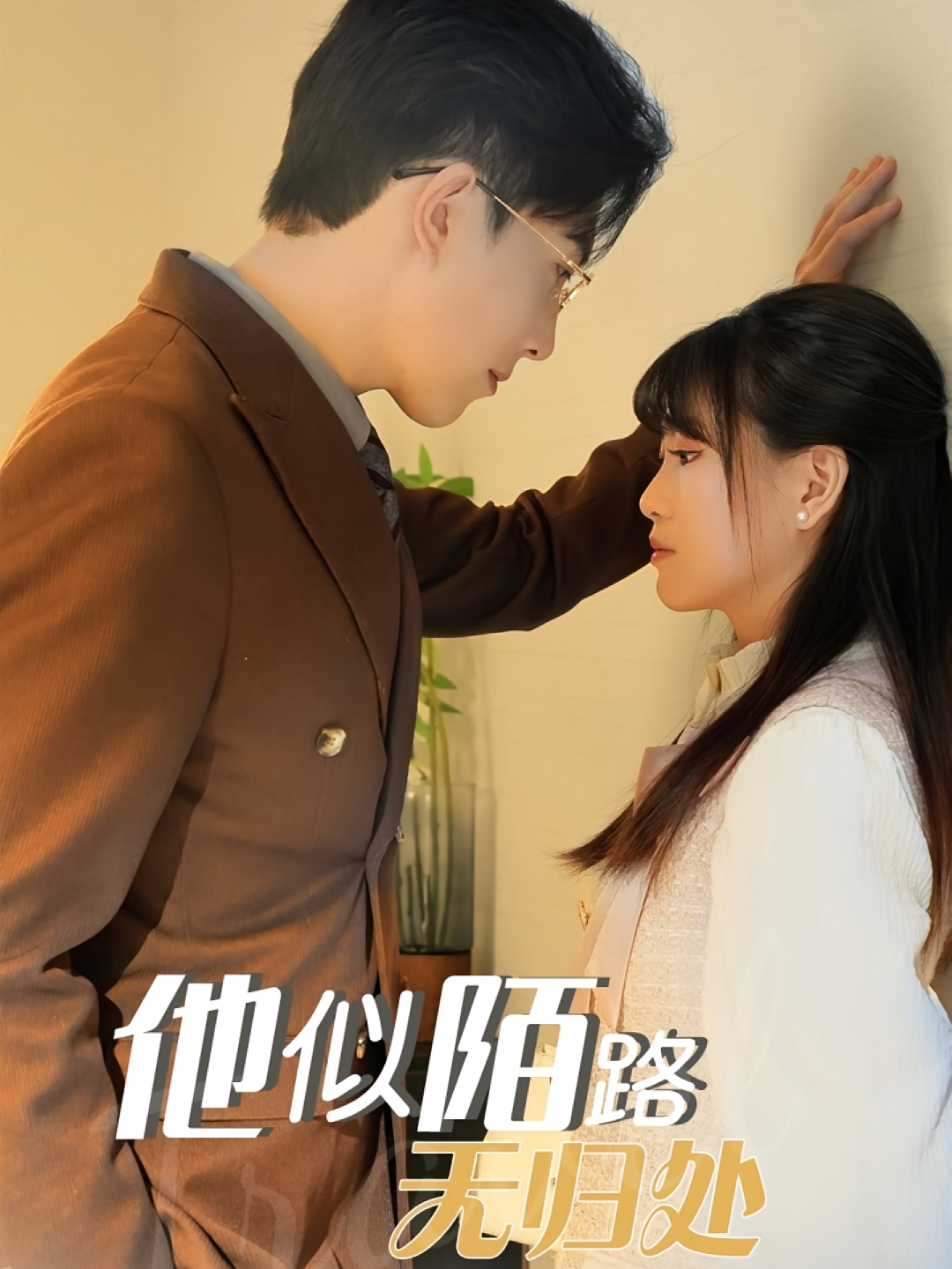 他似陌路无归处 都市情感·追妻·全30集 胡雪艺&赵阿东