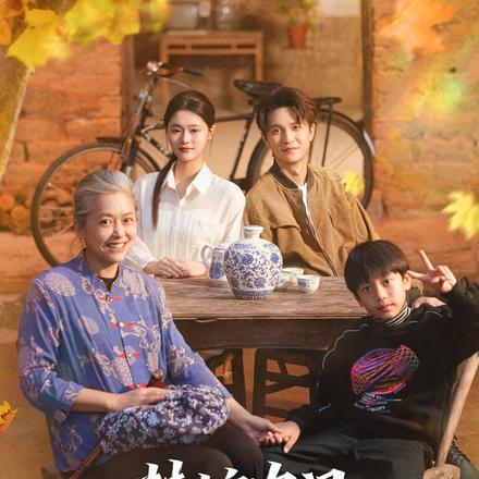 替嫁农门：萌宝带父来接亲啦